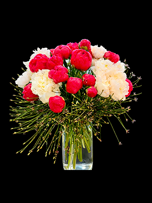 Peonies Garden