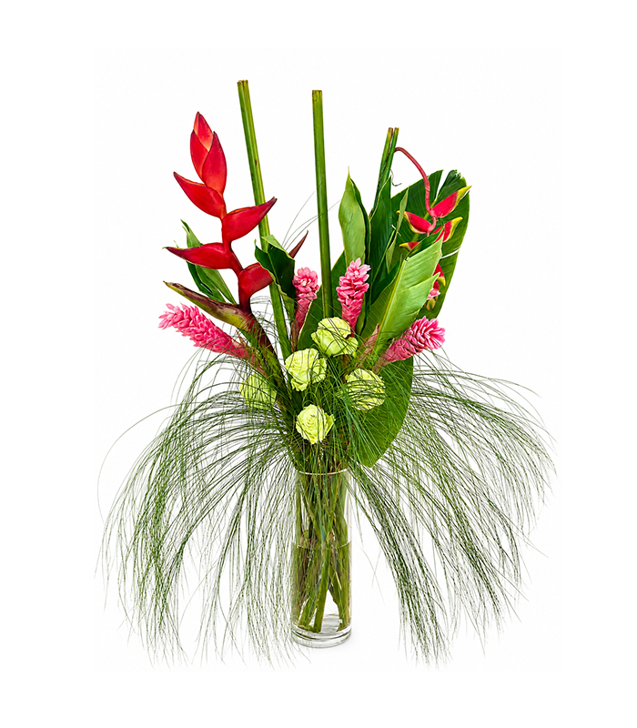 Tropical Garden Commercial