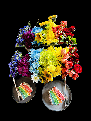 Rainbow Garden