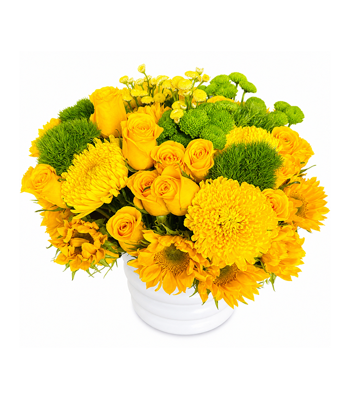 Shades of Yellow Garden Residential