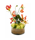 Fantasy Garden – Arrangement 1