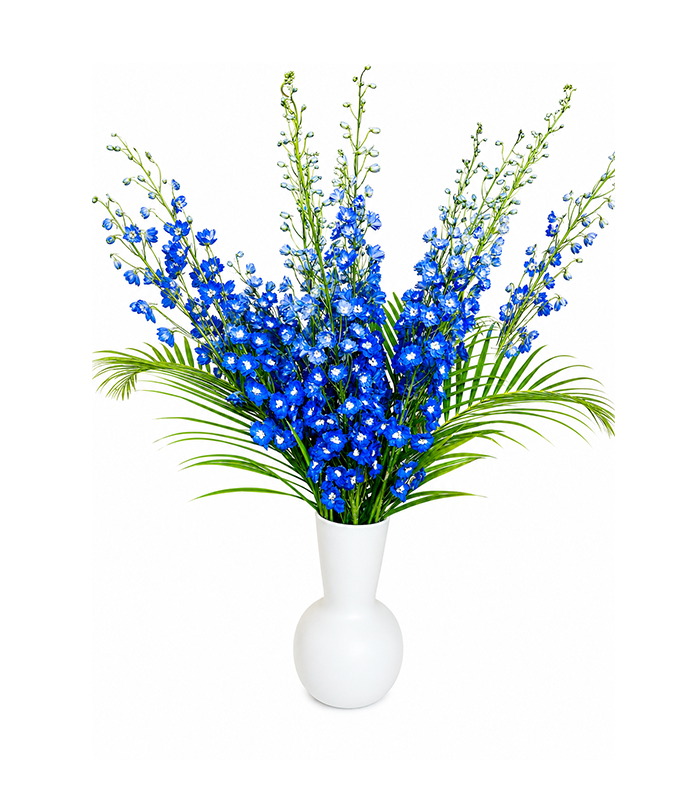 Hamptons Summer Garden – Arrangement 6