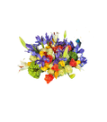 Intercontinental Garden – Arrangement 1