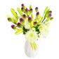 Palm Springs Garden – Deluxe Arrangement (Commercial)