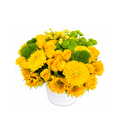 Shades of Yellow Garden – Arrangement 2