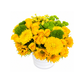 Shades of Yellow Garden – Premium Deluxe Arrangement (Residential)
