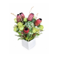 South African Garden – Premium Deluxe Arrangement (Residential)