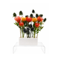 South African Garden – Deluxe Arrangement (Residential)
