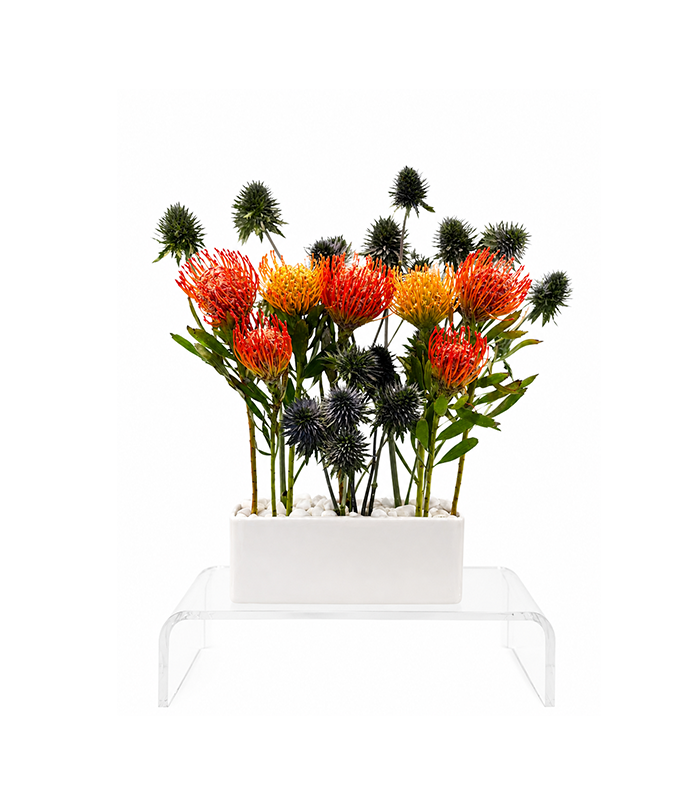 South African Garden – Deluxe Arrangement (Residential)
