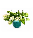 Tribeca Blanc Garden – Arrangement 1