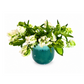 Tribeca Blanc Garden – Premium Deluxe Arrangement (Commercial)