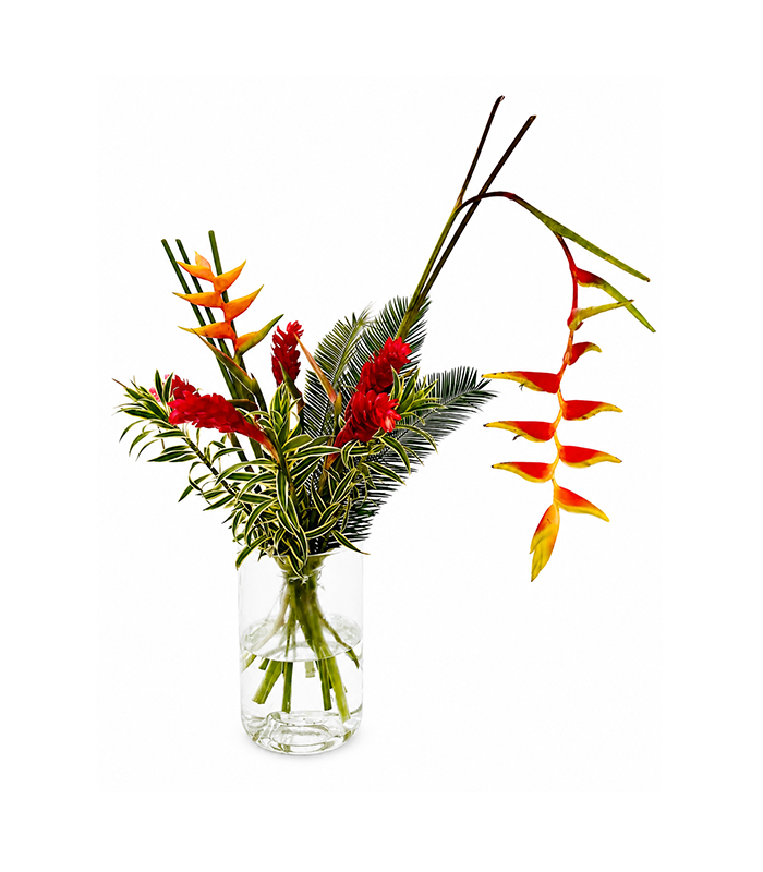 Tropical Garden – Arrangement 2